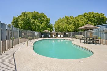 Sparkling pool